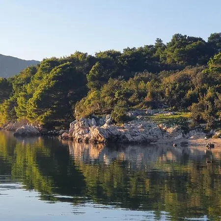 Villa Paradise Garden *