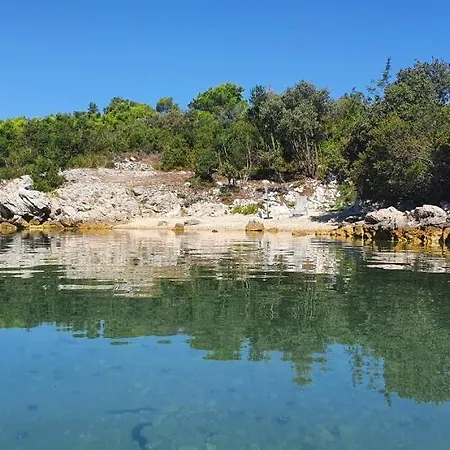 Villa Paradise Garden *