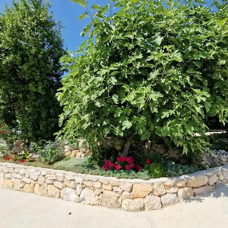 Paradise Garden Βίλα Ston