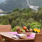 Paradise Garden Vila
