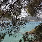 Paradise Garden