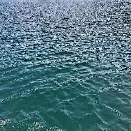 Paradise Garden ヴィラ *