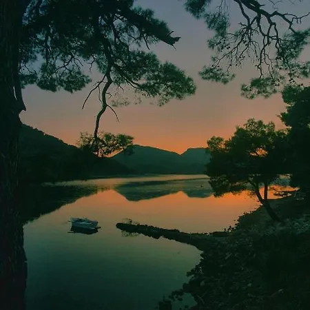 ヴィラ Paradise Garden