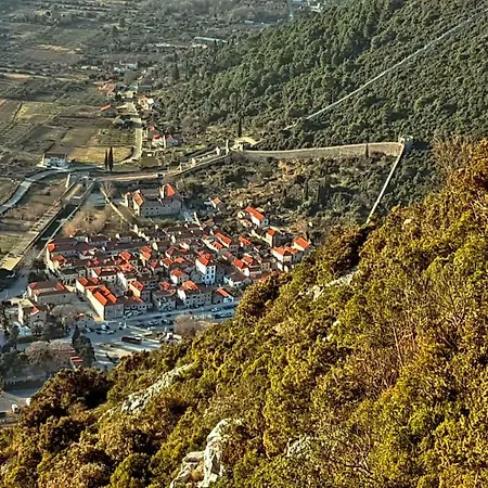 Villa Paradise Garden