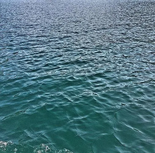 Paradise Garden فيلة *