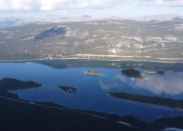 Paradise Garden فيلة *