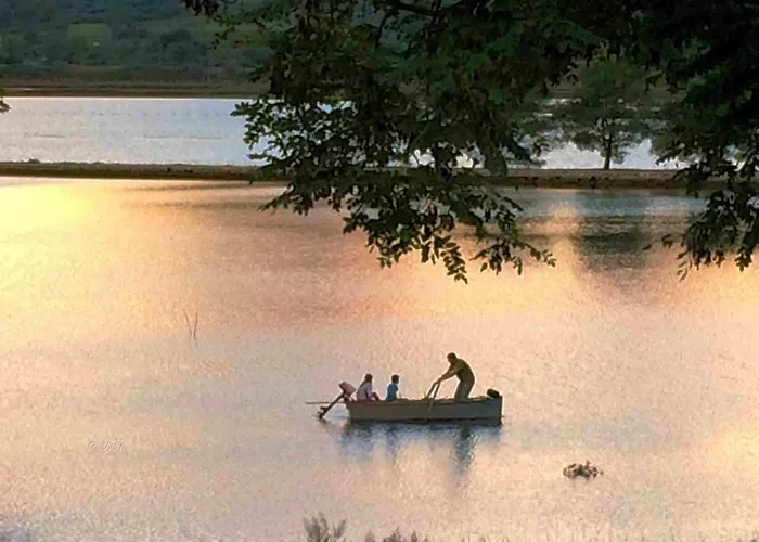 Paradise Garden فيلة *