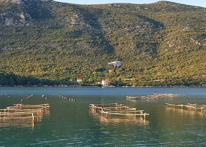 فيلة Paradise Garden ستون